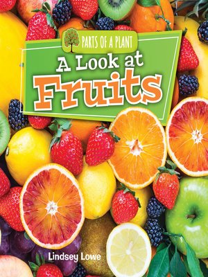 cover image of A Look at Fruits